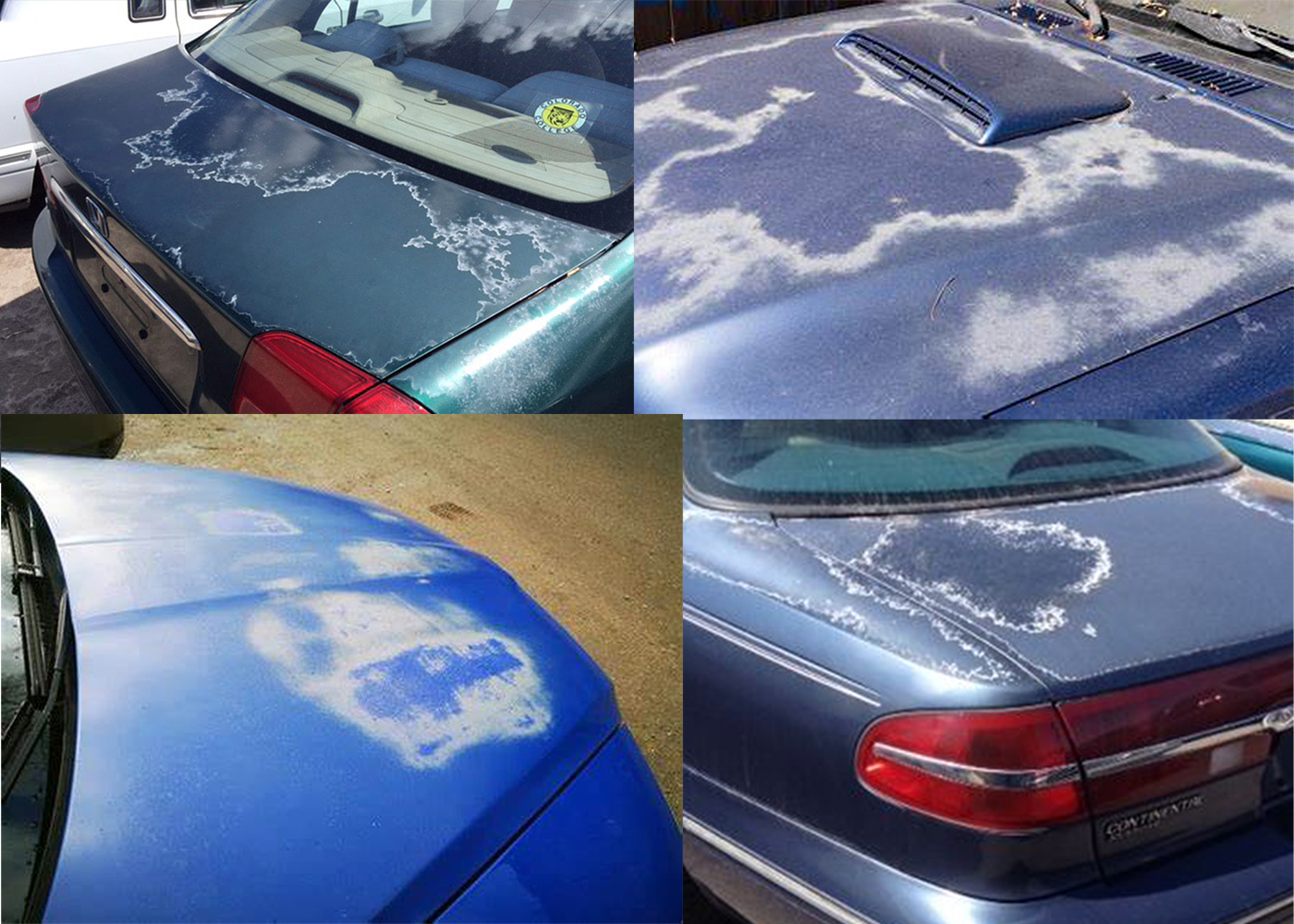 Protect Your Car From Uv Damage And Oxidation  